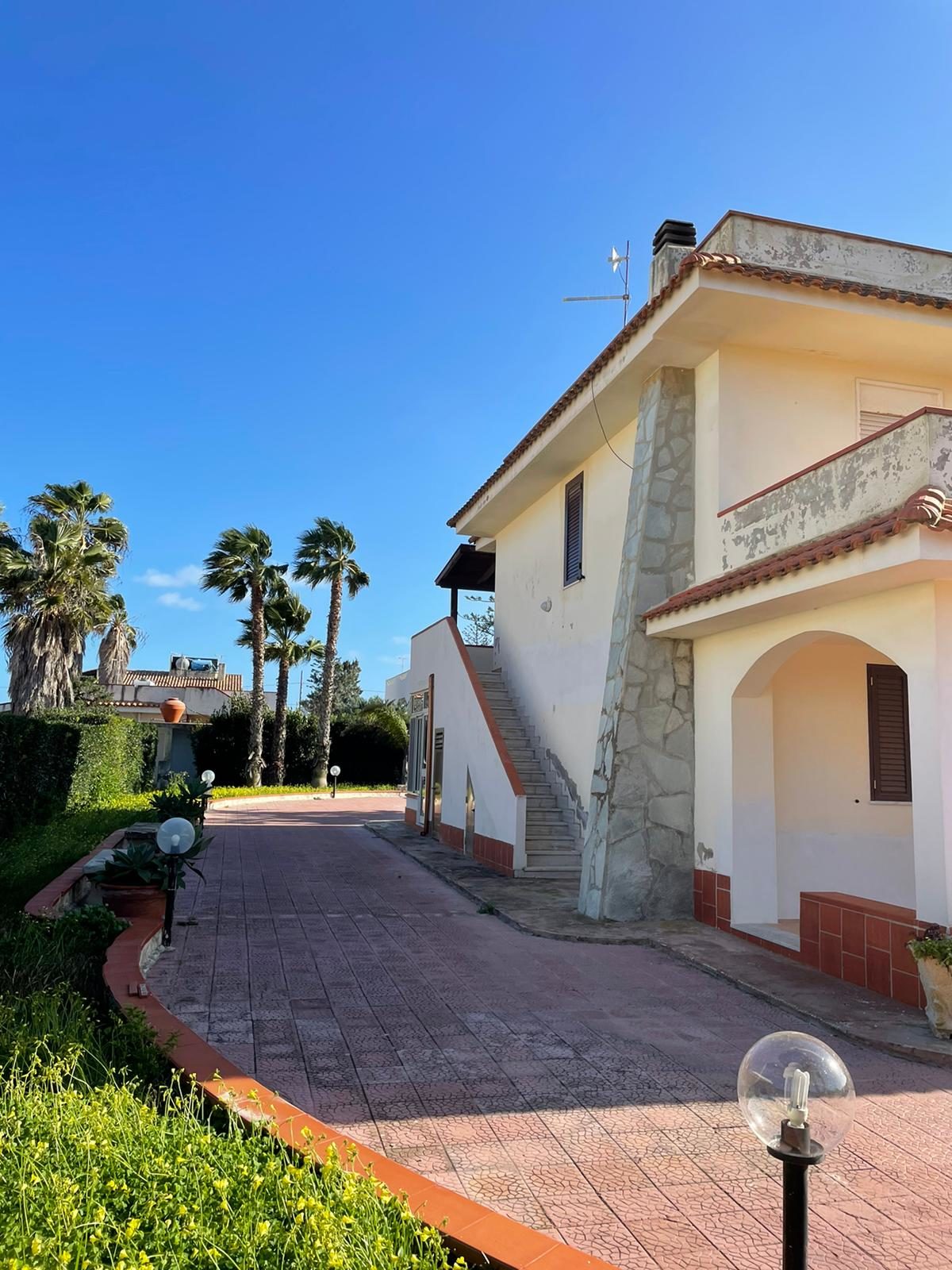 San Lorenzo - V strada (1)