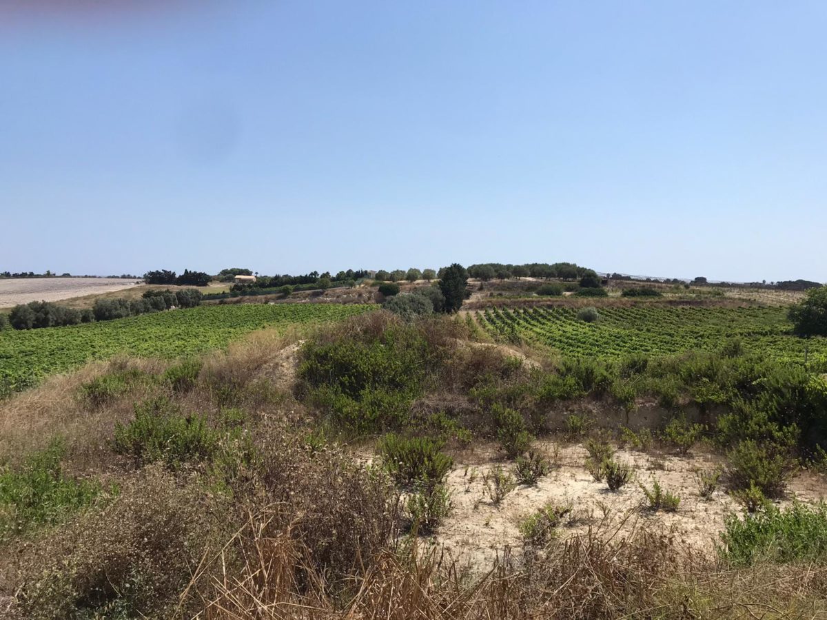 Struttura a 3 km da Marzamemi (4)