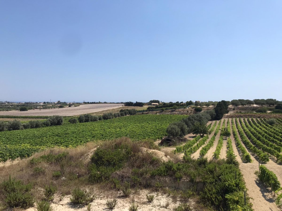 Struttura a 3 km da Marzamemi (6)