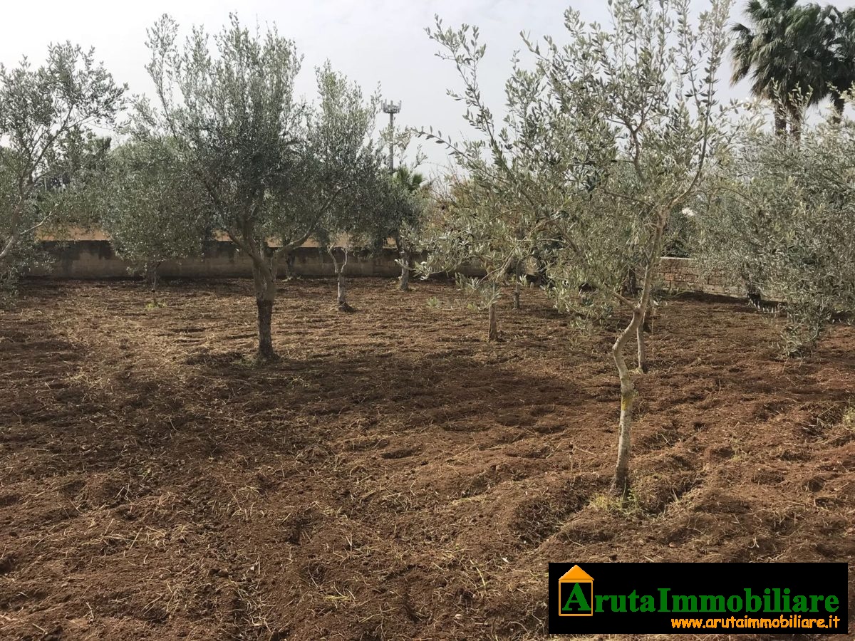 Villa al mare San Lorenzo oasi (19)