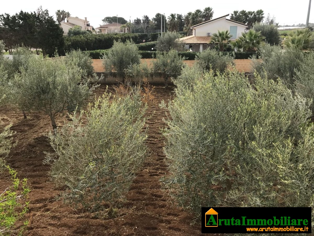 Villa al mare San Lorenzo oasi (21)