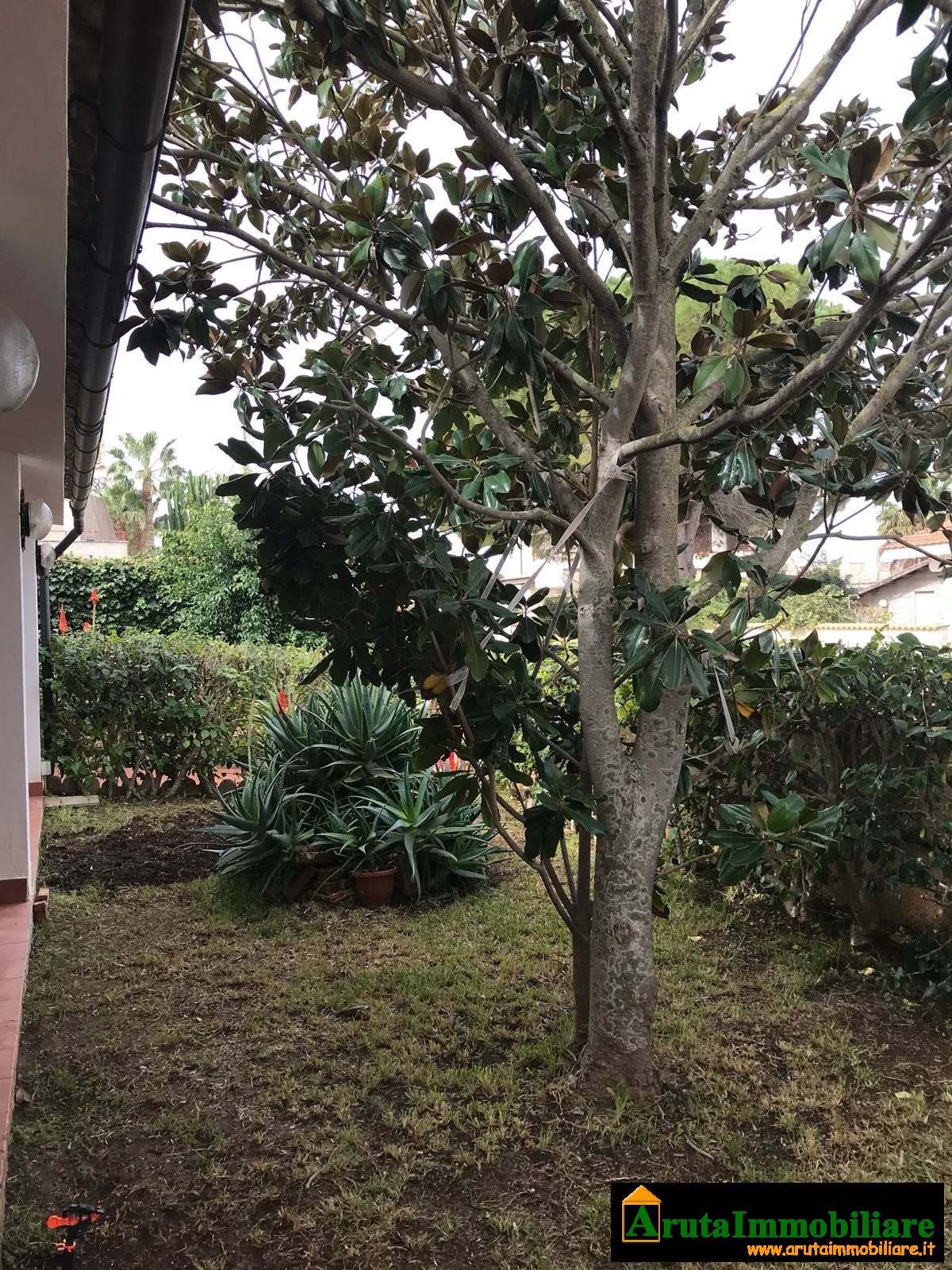 Villa al mare San Lorenzo oasi (46)