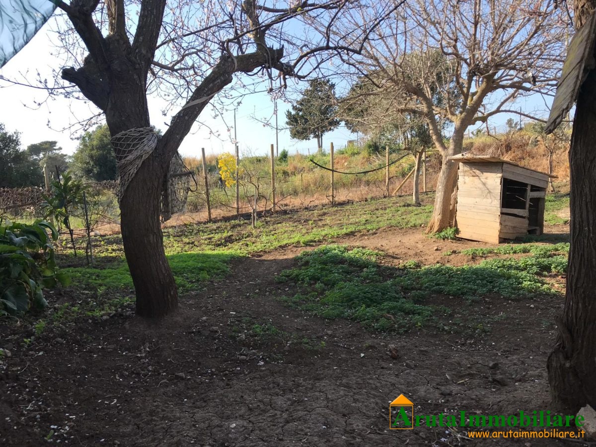 C.da Cozzarelli (18)