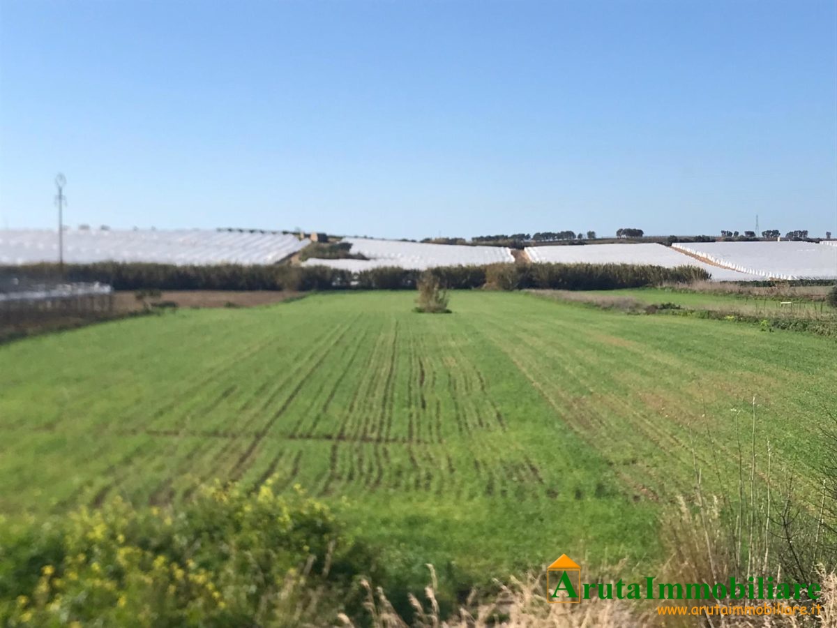 Strada provinciale Pachino- Noto (5)