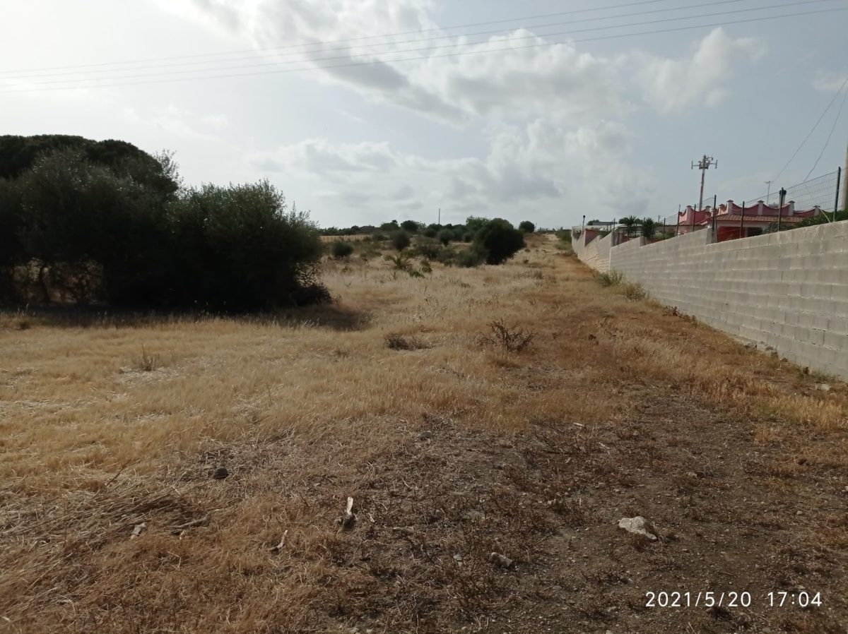 Contrada Sparacogna (11)