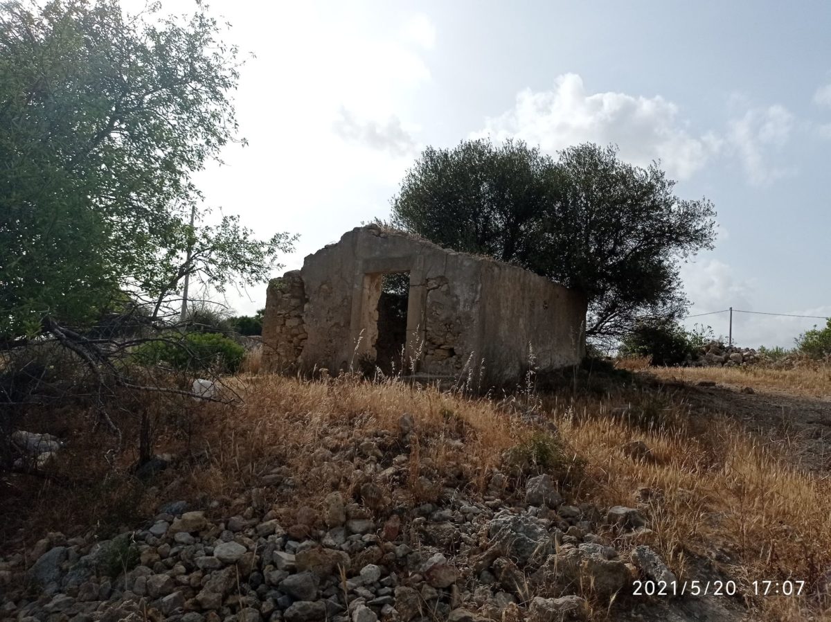 Contrada Sparacogna (15)