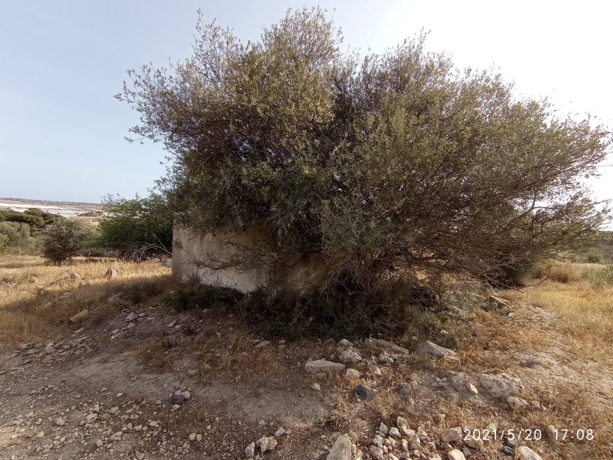 Contrada Sparacogna (16)