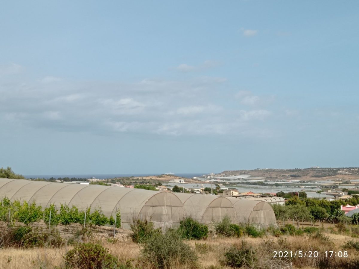 Contrada Sparacogna (5)