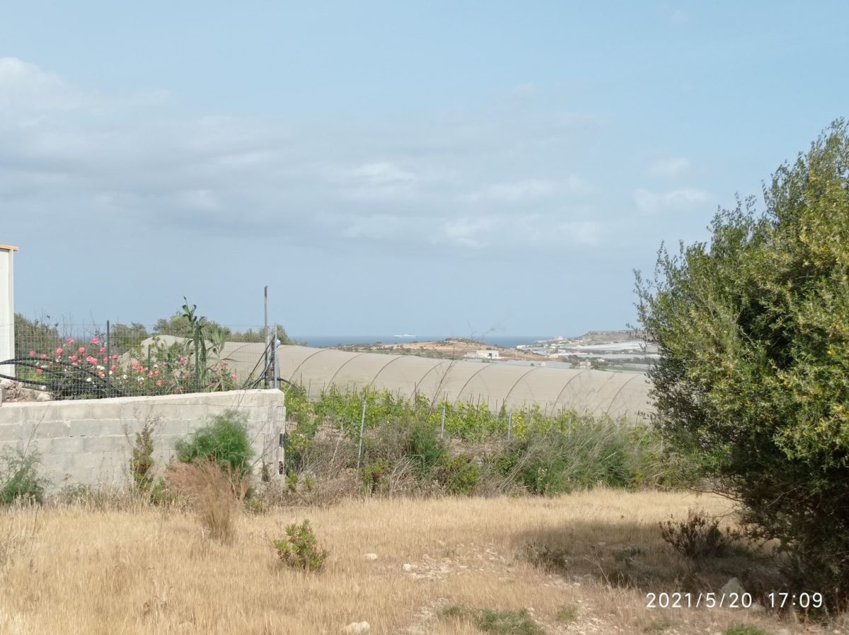 Contrada Sparacogna (8)