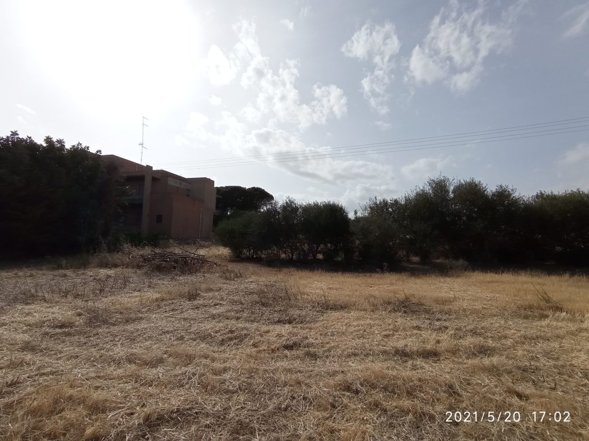 Contrada Sparacogna (9)