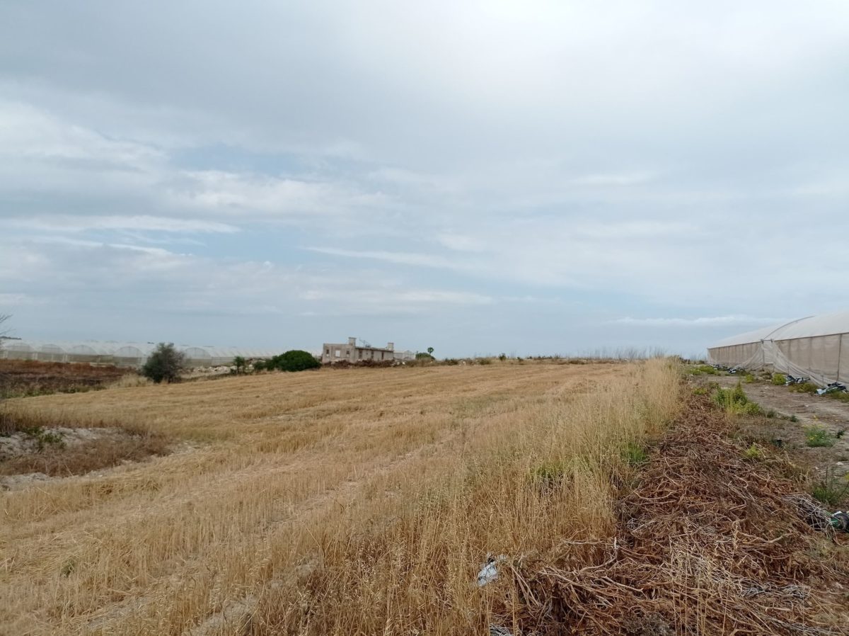 Pachino - c.da Cacci (13)