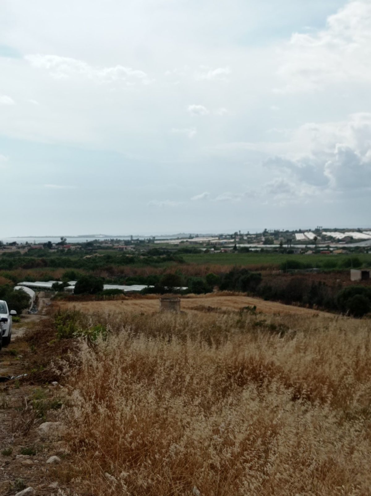 Pachino - c.da Cacci (3)