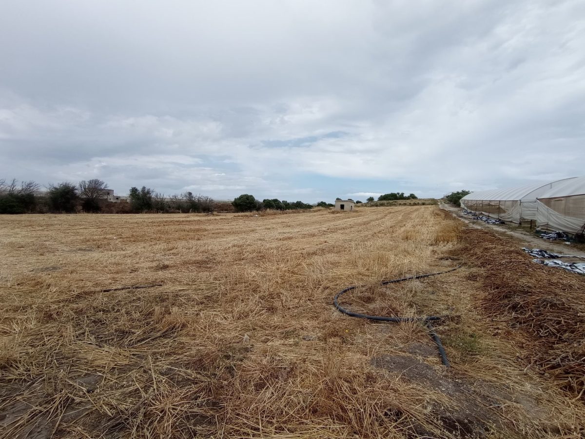 Pachino - c.da Cacci (7)