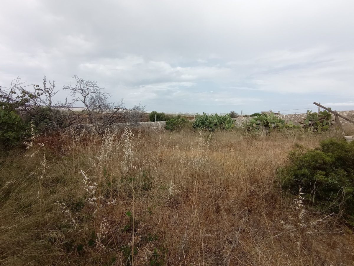 Pachino - c.da Cacci (8)