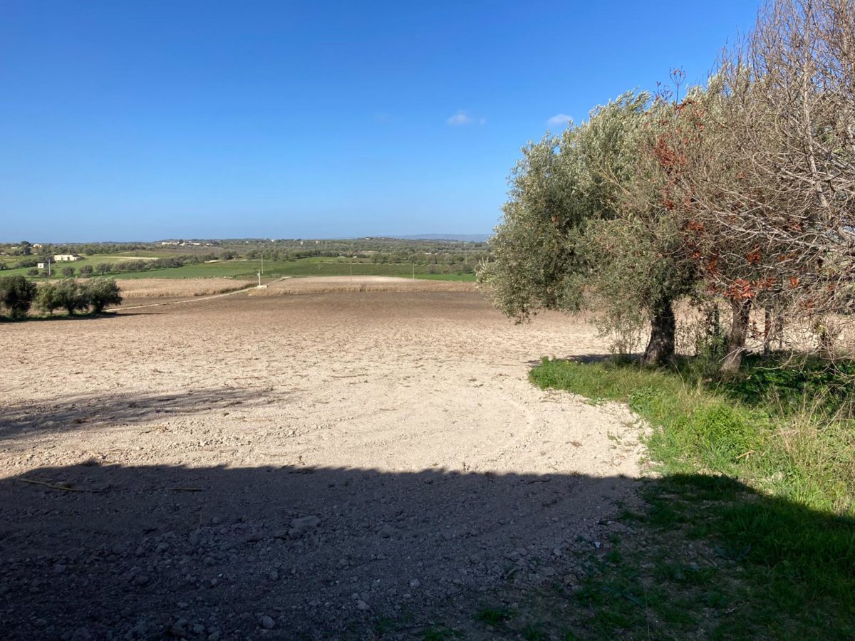 Contrada Agliastro (10)