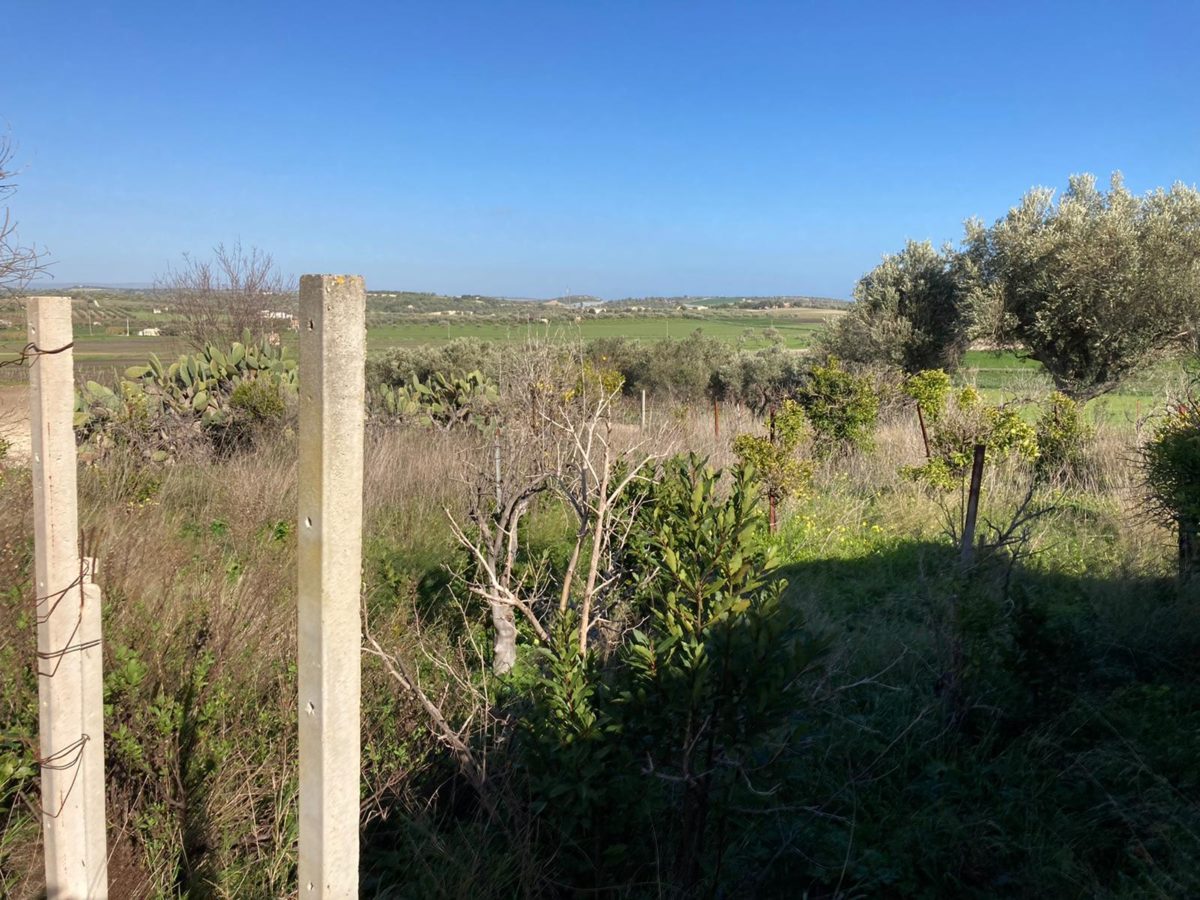 Contrada Agliastro (2)