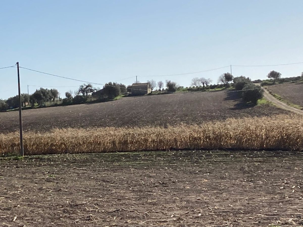 Contrada Agliastro (20)