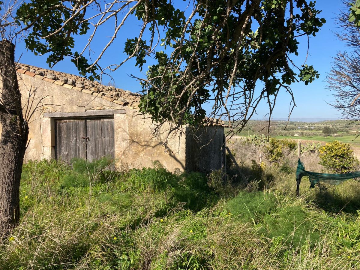 Contrada Agliastro (36)