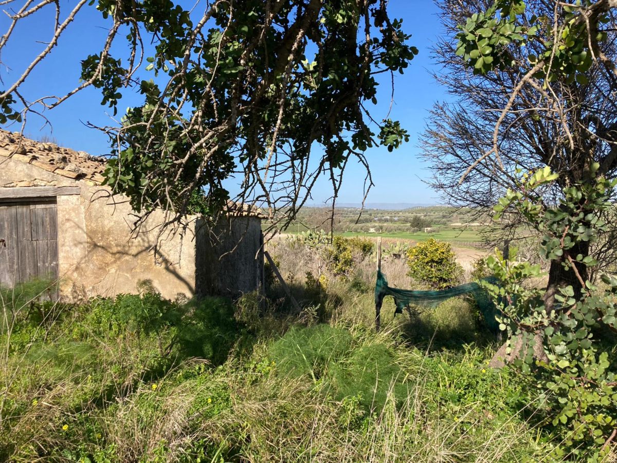 Contrada Agliastro (44)