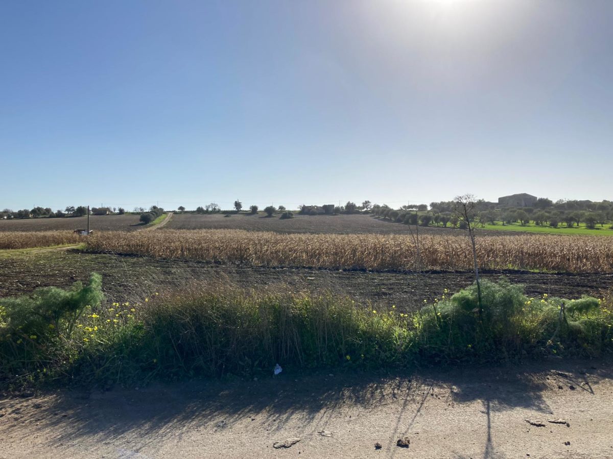 Contrada Agliastro (6)