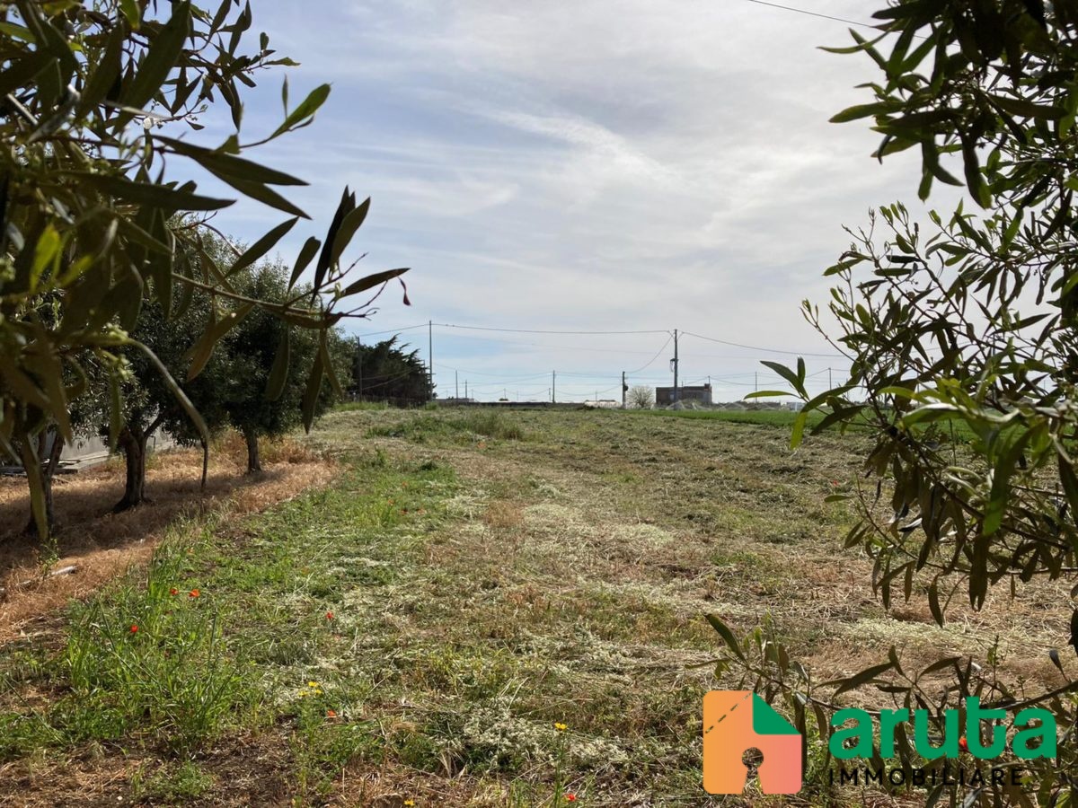 Pachino - C.da Cozzo Grillo (13)