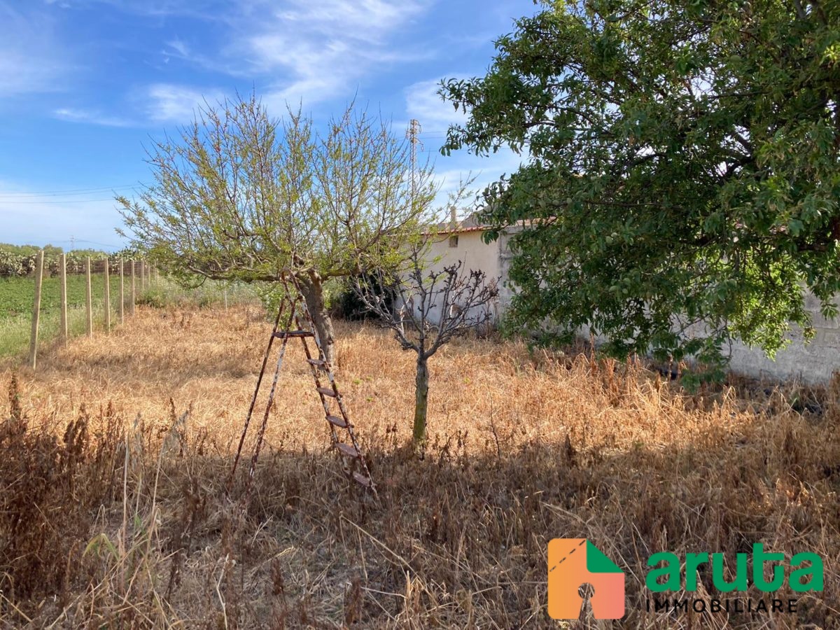 Pachino - C.da Cozzo Grillo (24)