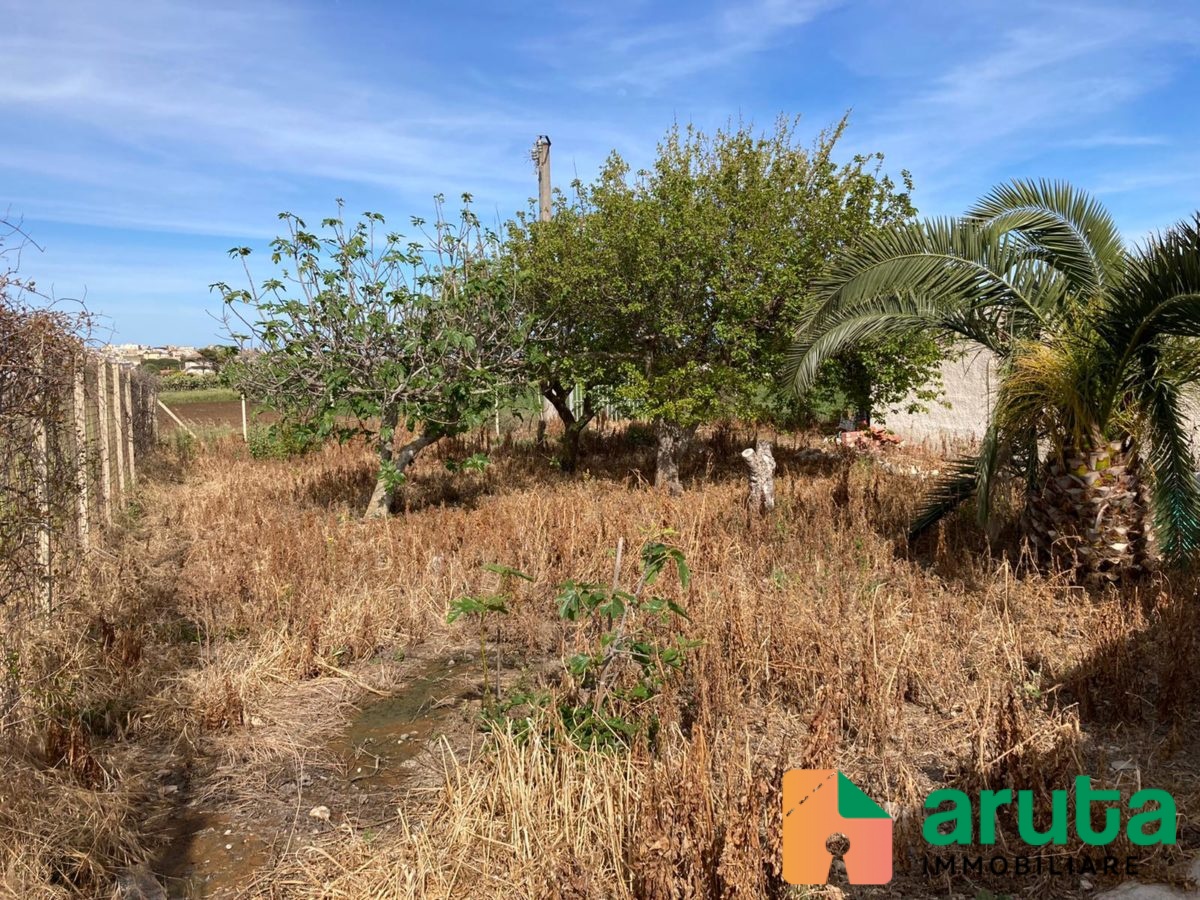 Pachino - C.da Cozzo Grillo (29)