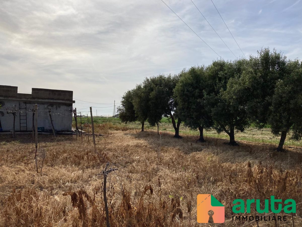 Pachino - C.da Cozzo Grillo (8)