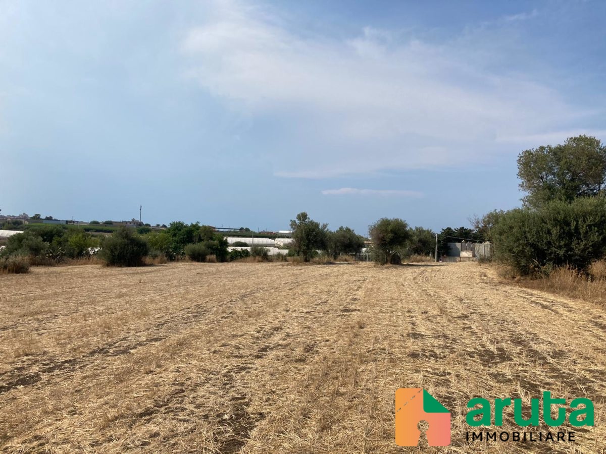 Pachino - contrada Saiazza (2)