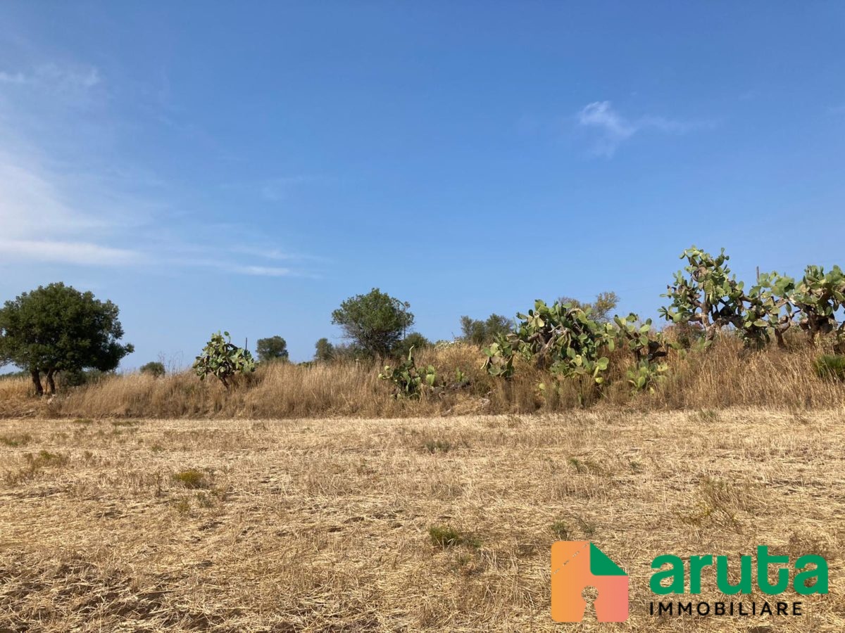 Pachino - contrada Saiazza (5)