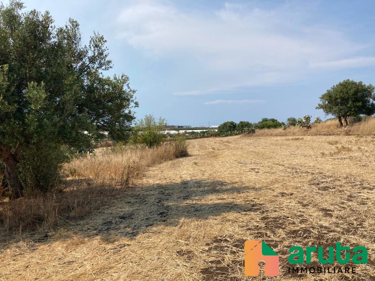 Pachino - contrada Saiazza (6)