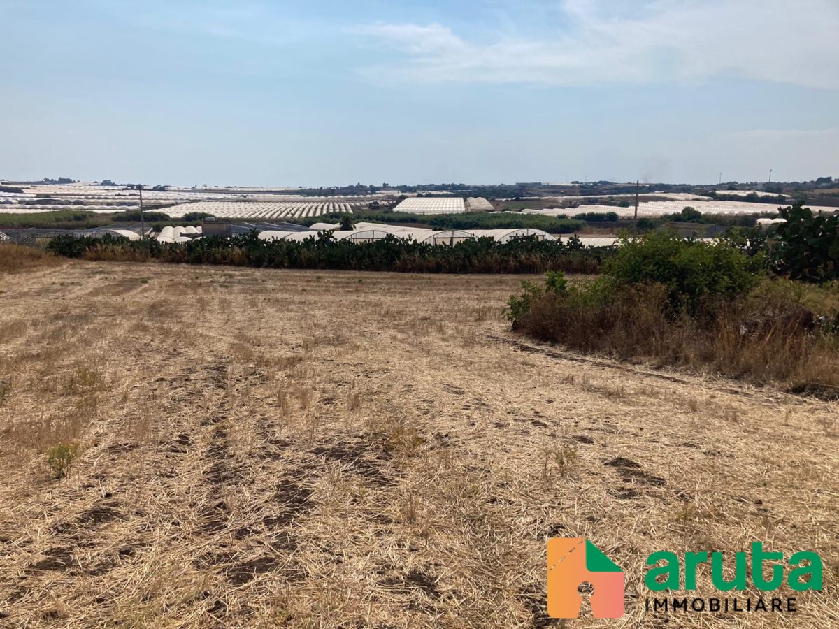 Pachino - contrada Saiazza (7)