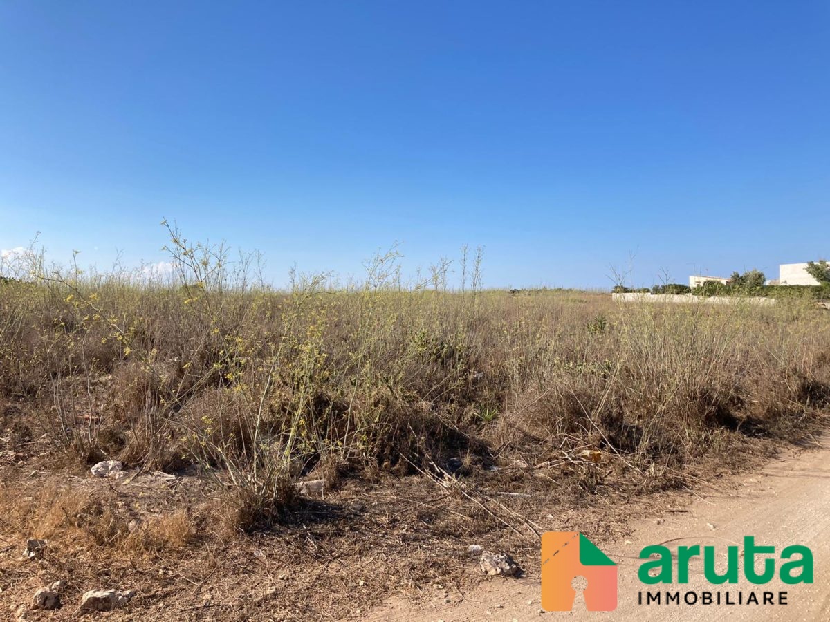 Pachino - c.da Belvedere (2)