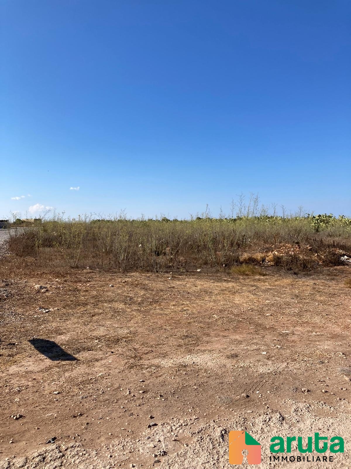 Pachino - c.da Belvedere (7)