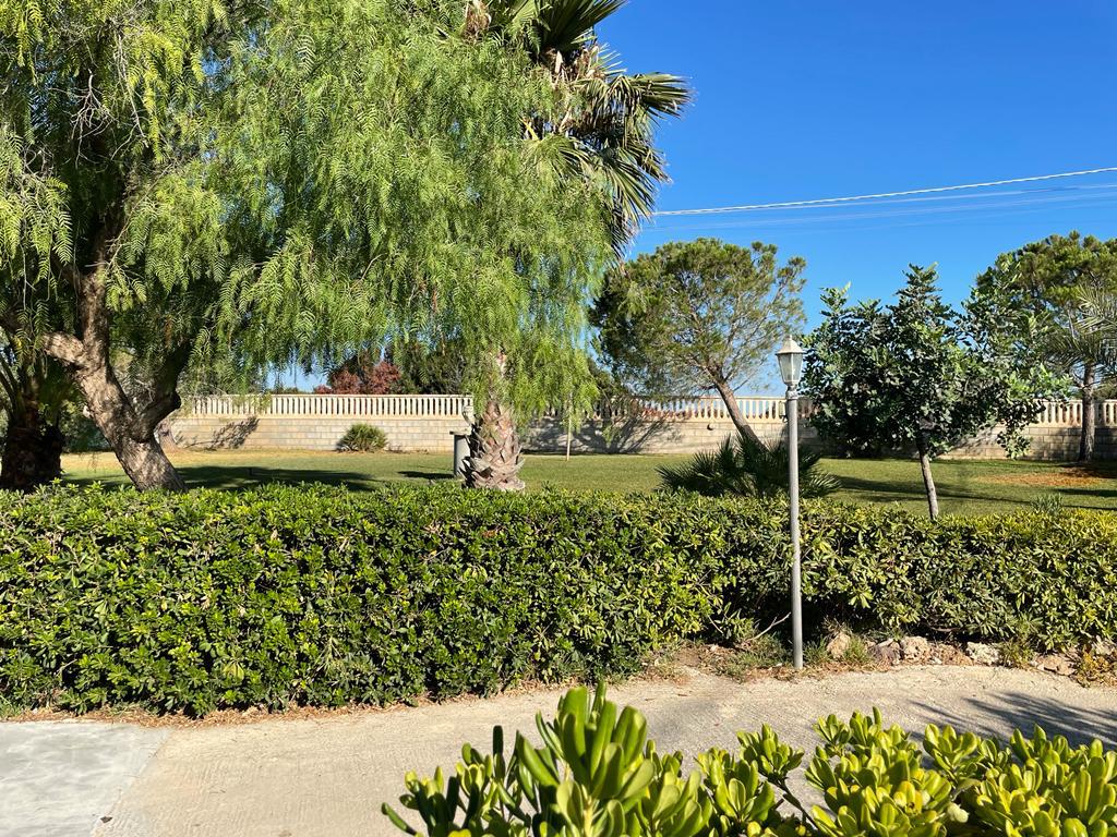 Noto - San Lorenzo (17)