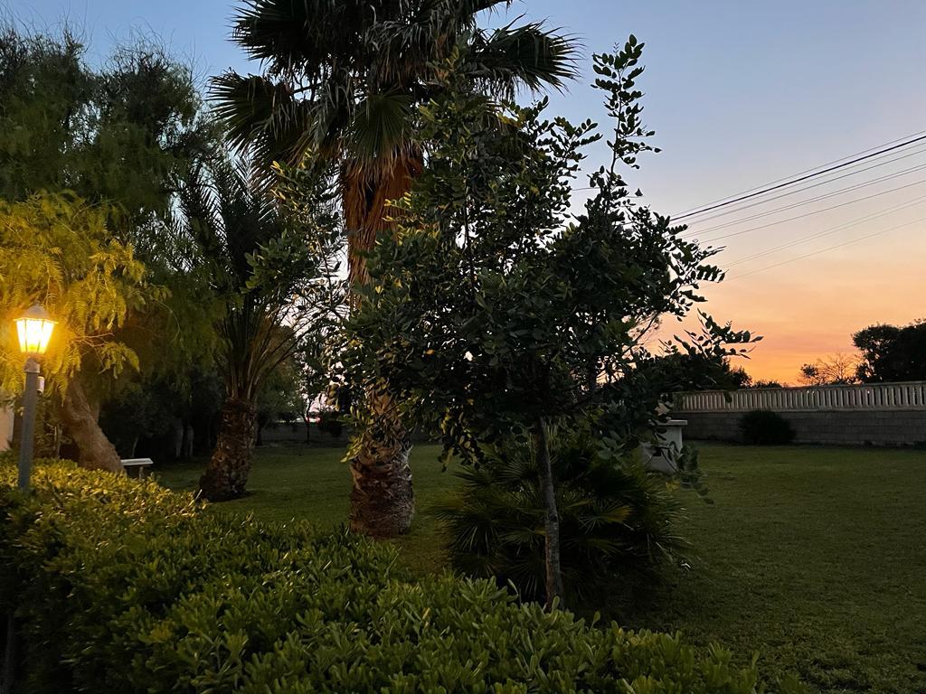 Noto - San Lorenzo (4)