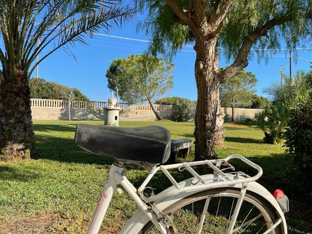 Noto - San Lorenzo (7)