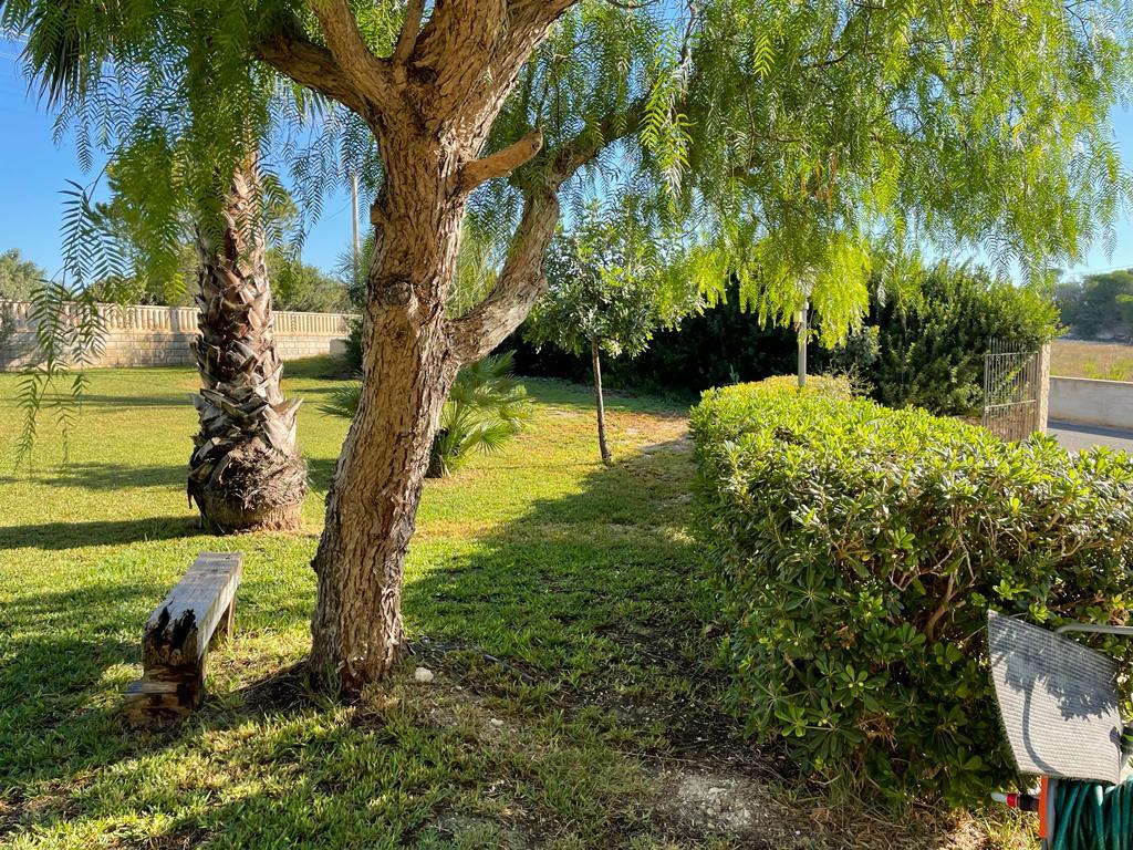 Noto - San Lorenzo (8)