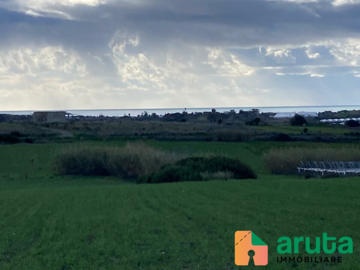 Pachino - C.da Cappellano (3)