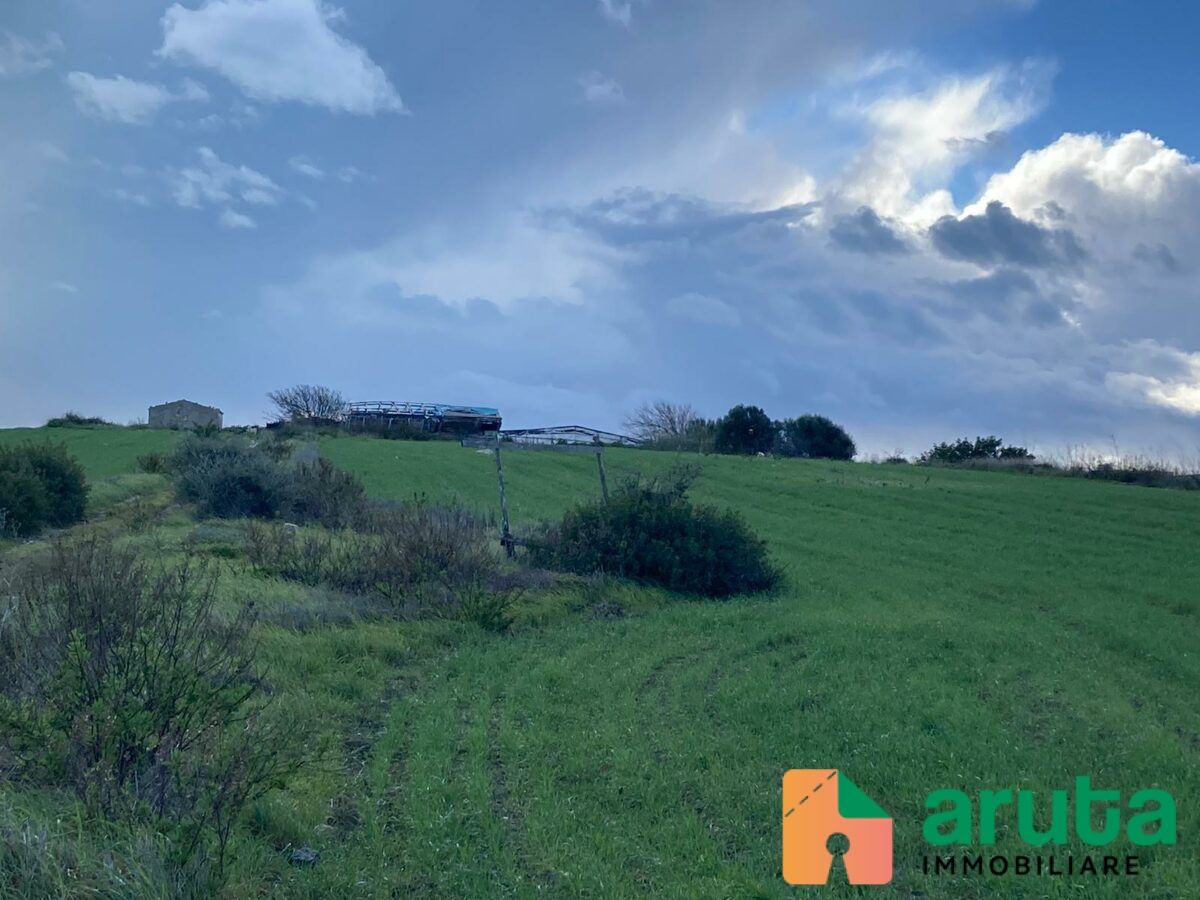 Pachino - C.da Cappellano (6)