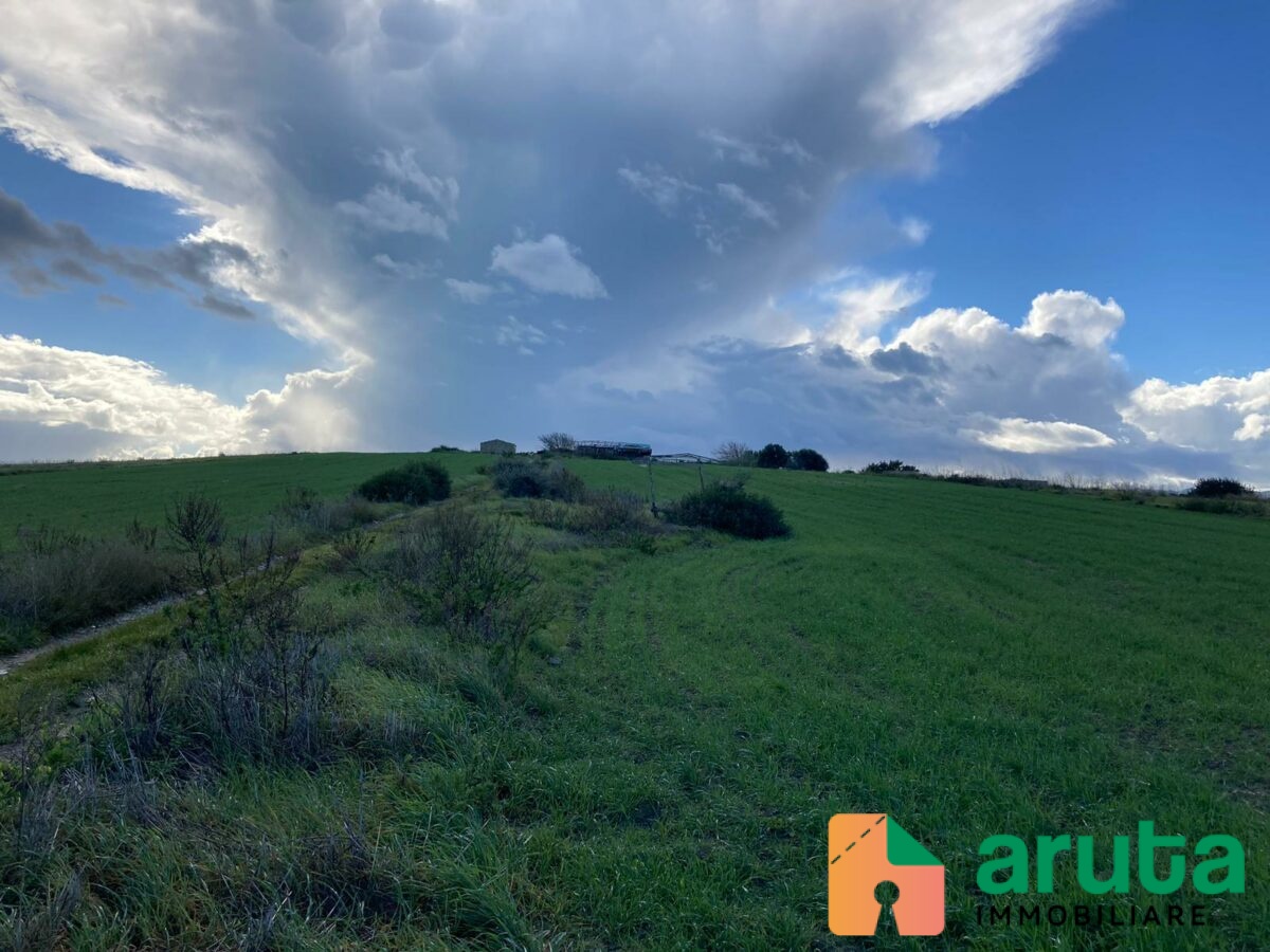 Pachino - C.da Cappellano (7)