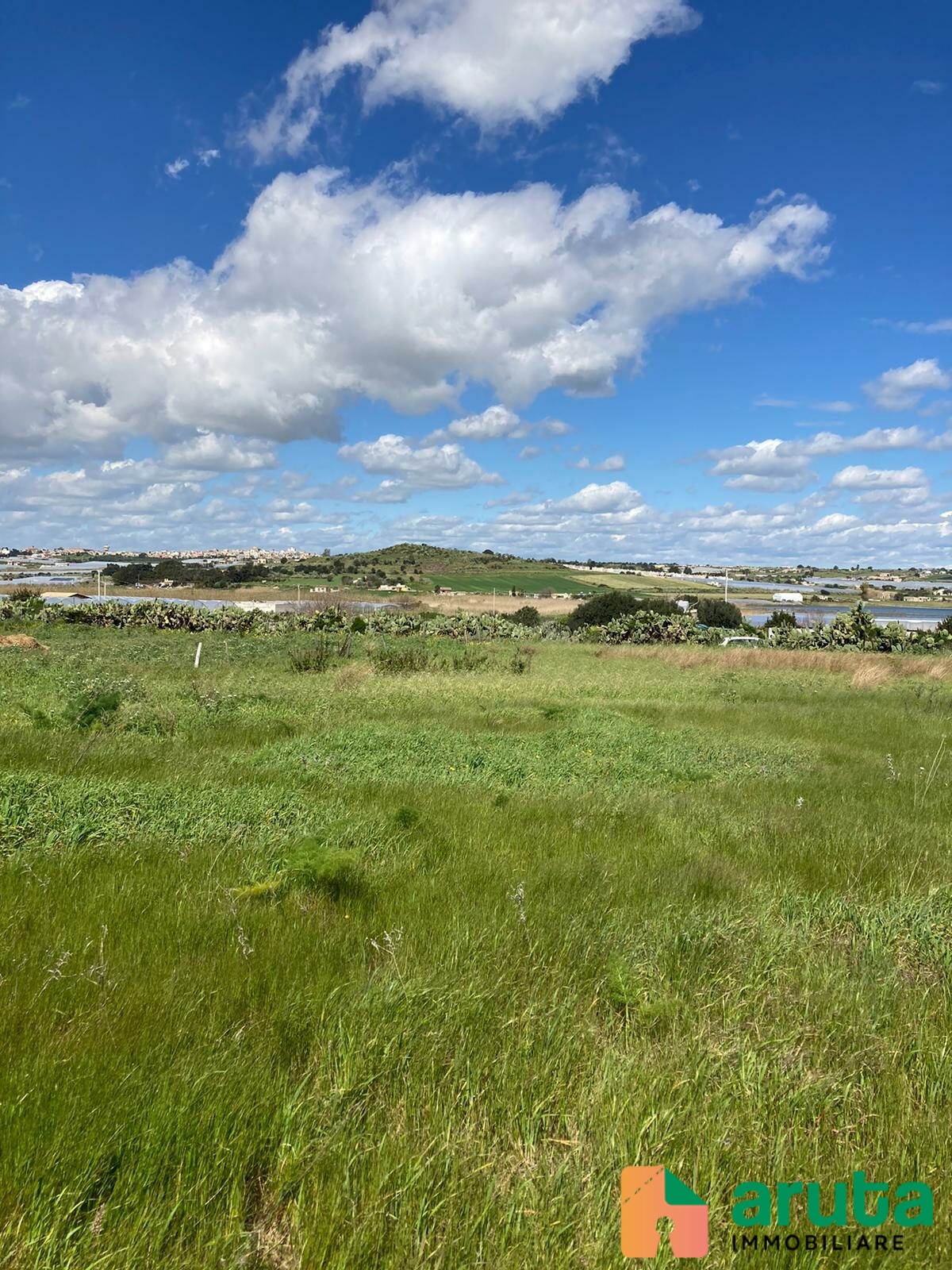 Pachino - C.da Saiazza (5)