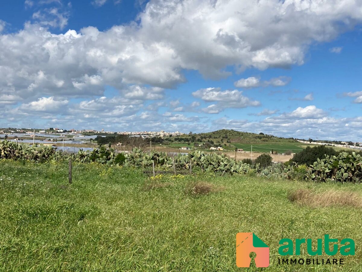 Pachino - C.da Saiazza (6)