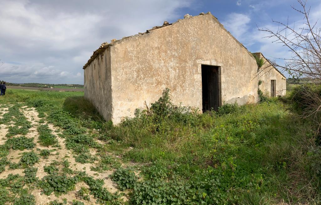 Noto - C.da Bufalefi Maccari (12)