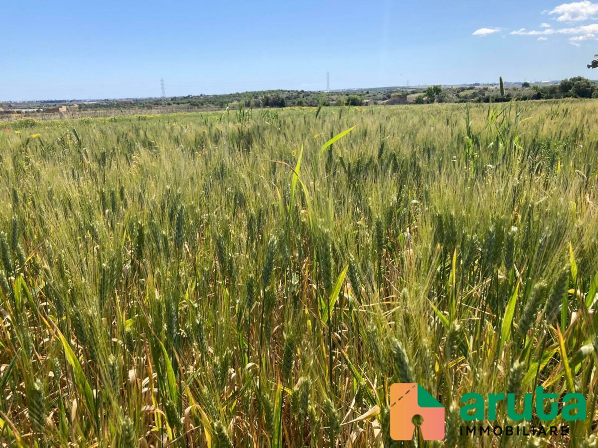 Noto - C.da Bufalefi Maccari (16)