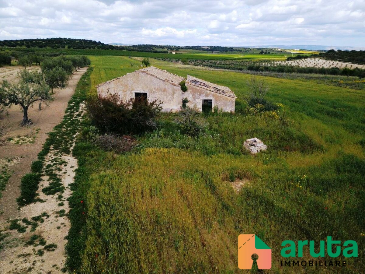 Noto - C.da Bufalefi Maccari (17)