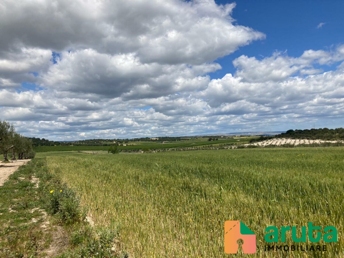 Noto - C.da Bufalefi Maccari (18)