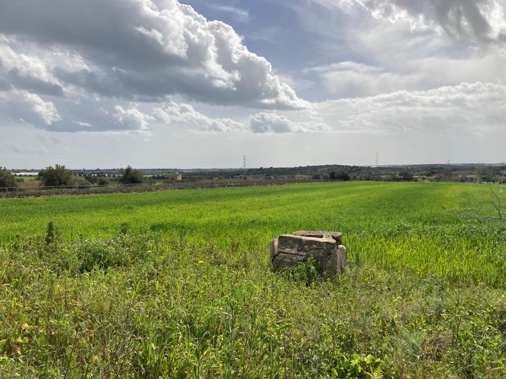 Noto - C.da Bufalefi Maccari (2)