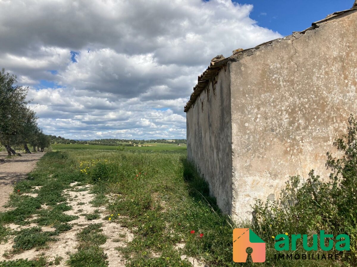 Noto - C.da Bufalefi Maccari (21)