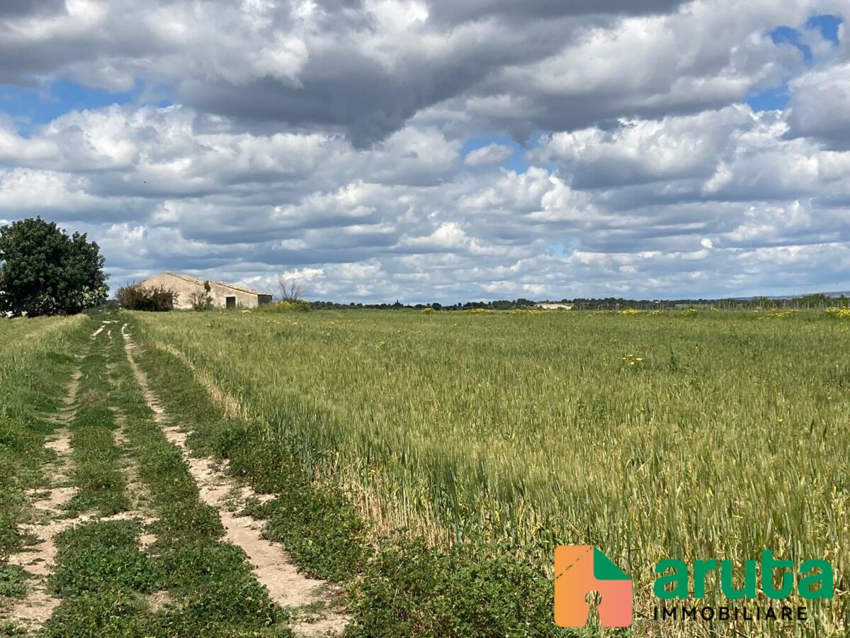 Noto - C.da Bufalefi Maccari (22)